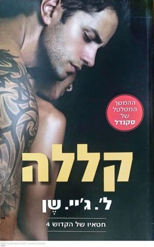 צילום של הספר חטאיו של הקדוש 4: קללה / ל'. ג'יי. שן