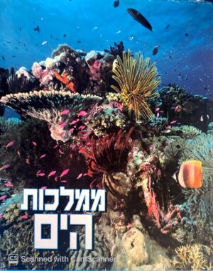צילום של הספר ממלכות הים / קנת בראוור
