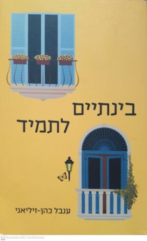 צילום של הספר בינתיים לתמיד / ענבל כהן-זיליאני