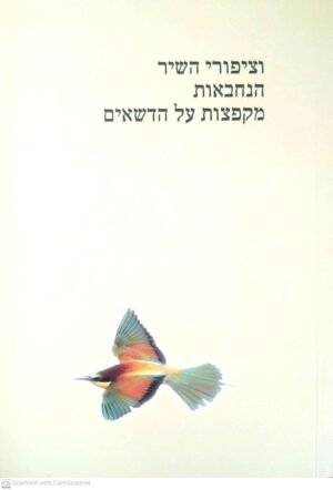 ציפורי השיר הנחבאות מקפצות על הדשאים / עדית אנקורי