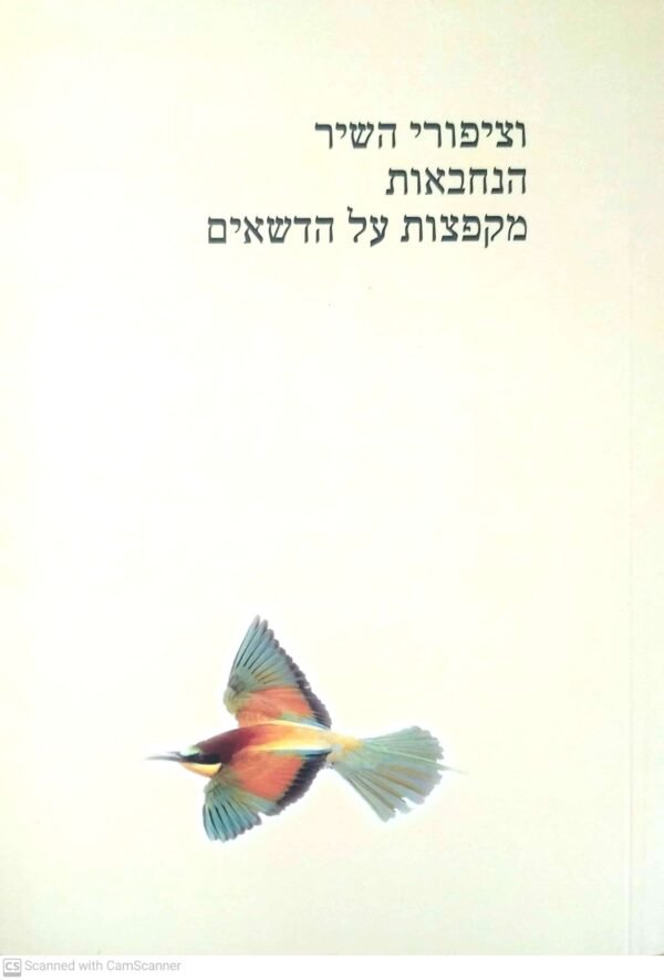 ציפורי השיר הנחבאות מקפצות על הדשאים / עדית אנקורי