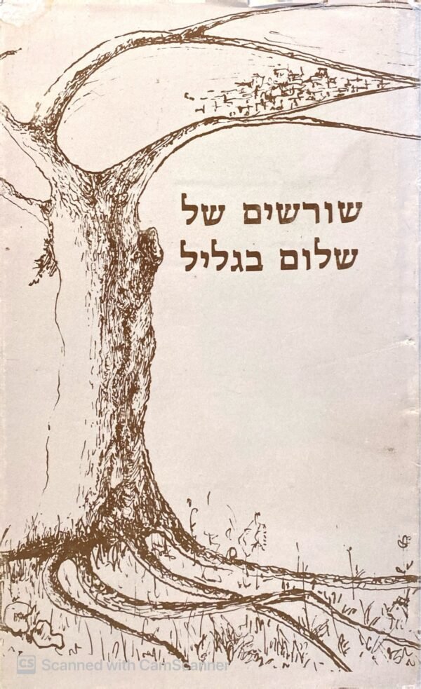 ⁦שורשים של שלום בגליל / יוסי לוי⁩ – תמונה ⁦2⁩