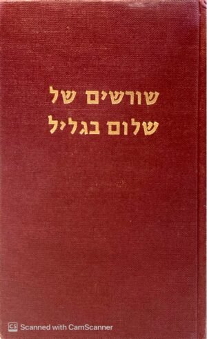 שורשים של שלום בגליל / יוסי לוי