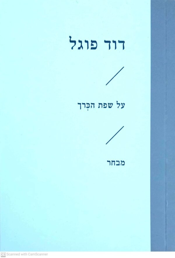 על שפת הכרך / דוד פוגל
