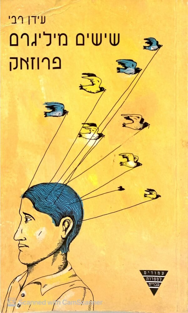 שישים מיליגרם פרוזאק / עידן רבי