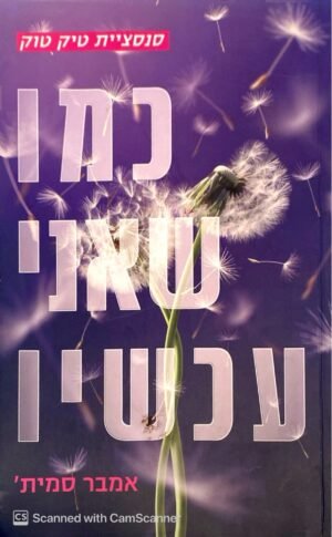כמו שהייתי פעם 2: כמו שאני עכשיו / אמבר סמית'