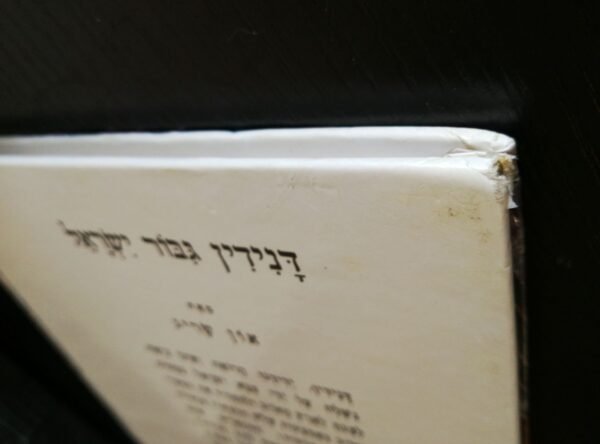 ⁦דנידין: גיבור ישראל / און ישראל⁩ – תמונה ⁦3⁩
