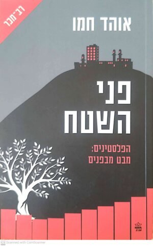 פני השטח - הפלסטינים: מבט מבפנים / אוהד חמו