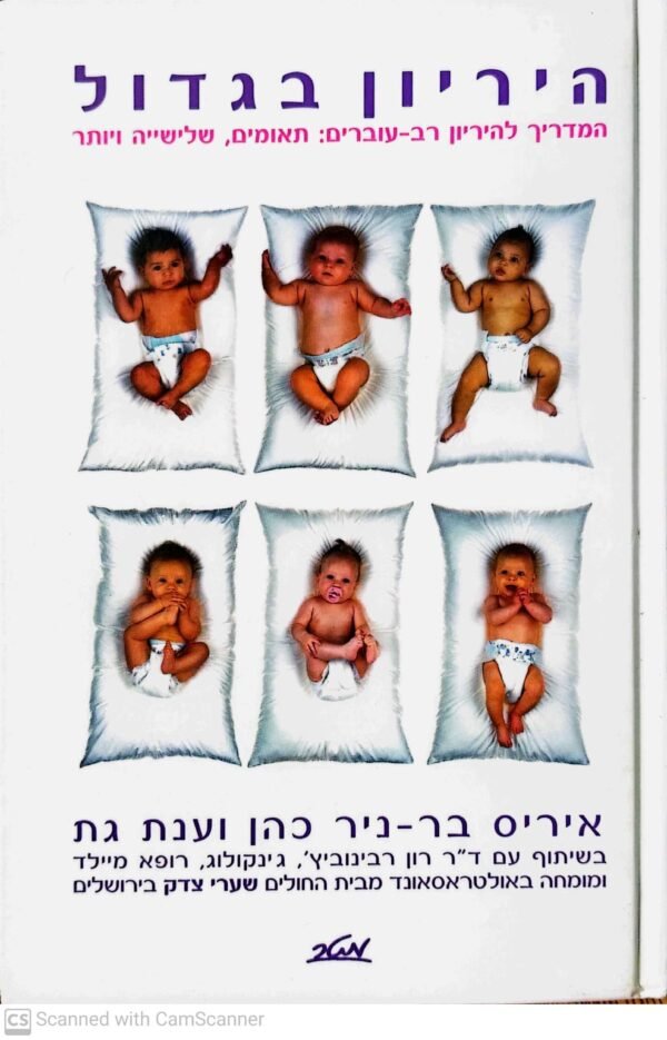 היריון בגדול - המדריך להיריון רב עוברים: תאומים, שלישיה ויותר / איריס בר-ניר כהן וענת גת