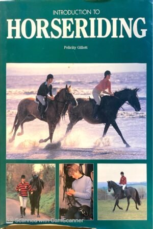 Introduction to Horseriding by Felicity Gillott