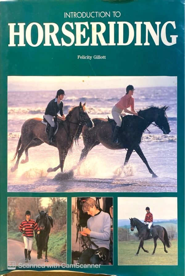 Introduction to Horseriding by Felicity Gillott