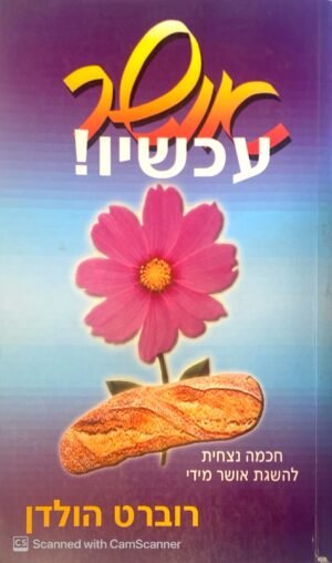 אושר עכשיו! / רוברט הולדן