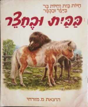 צילום של הספר בבית ובחצר / ענבה קנטור