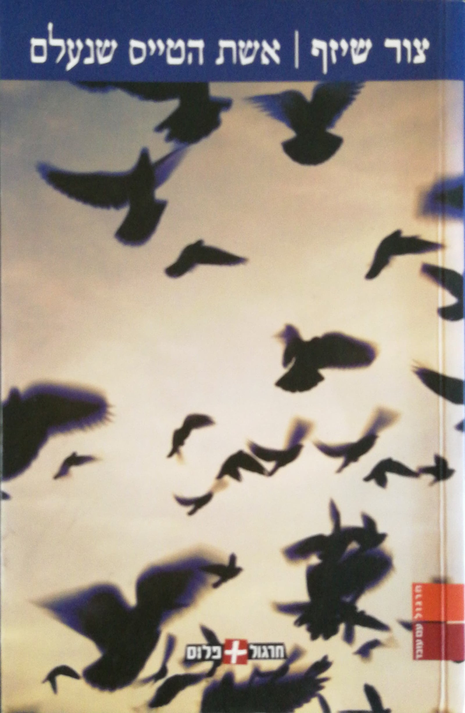 צילום של הספר אשת הטייס שנעלם / צור שיזף