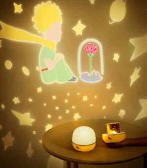 צילום של הספר מקרן תמונות להחלפה – הנסיך הקטן