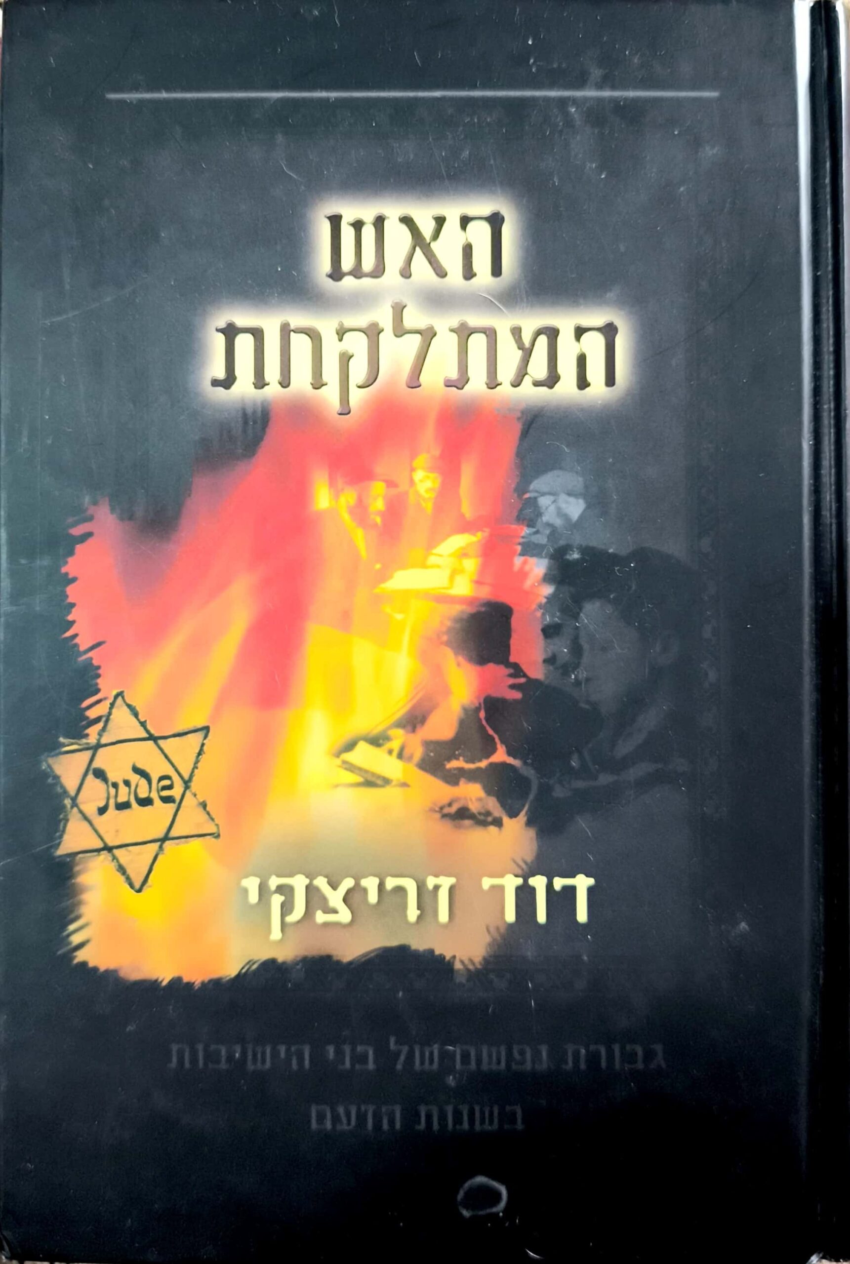 צילום של הספר האש המתלקחת / דוד זריצקי