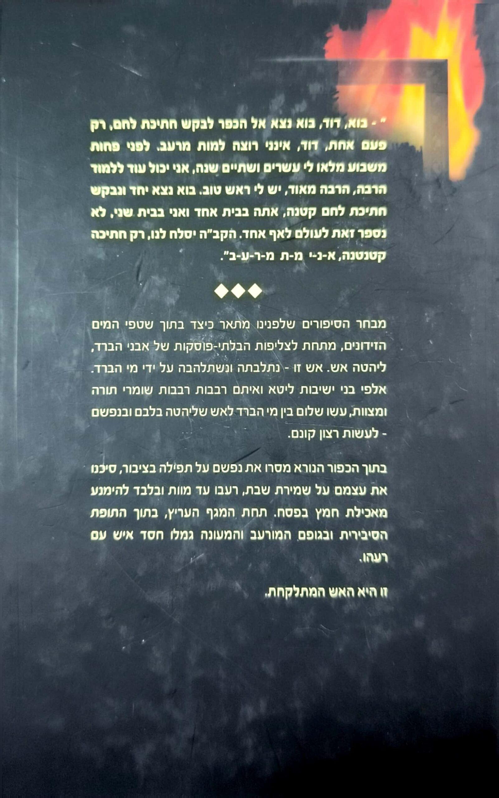 צילום של הספר האש המתלקחת / דוד זריצקי