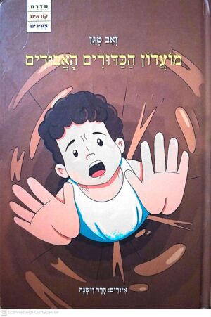 צילום של הספר מועדון הכדורים האבודים / זאב מגן