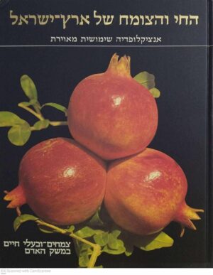 צילום של הספר החי והצומח של ארץ ישראל: צמחים ובעלי חיים במשק האדם