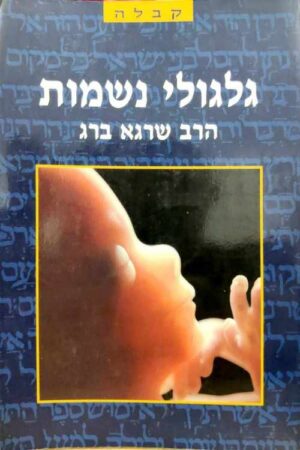 צילום של הספר גלגולי נשמות / הרב שרגא ברג (מהדורת 1990)