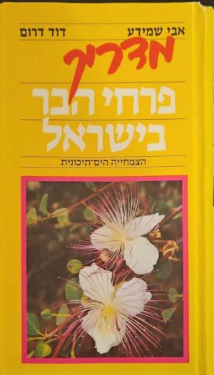 צילום של הספר מדריך פרחי הבר בישראל / אבי שמידע • דוד דרום
