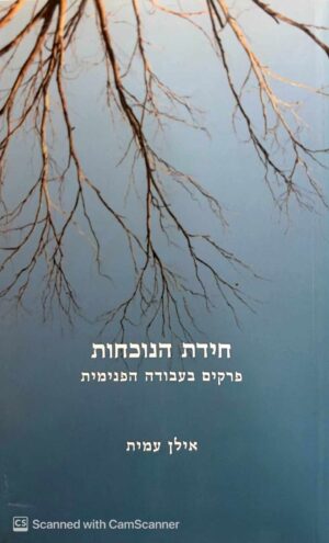 צילום של הספר חידת הנוכחות - פרקים בעבודה הפנימית / אילן עמית
