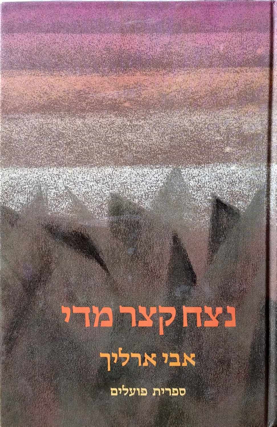 צילום של הספר נצח קצר מדי / אבי ארליך