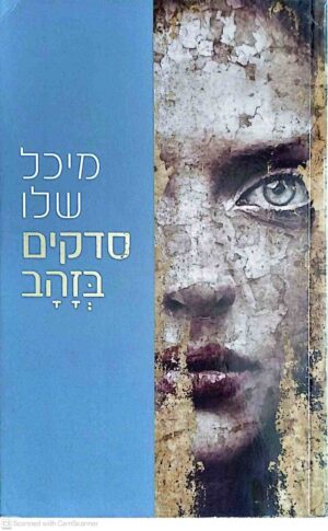 צילום של הספר סדקים בזהב / מיכל שלו