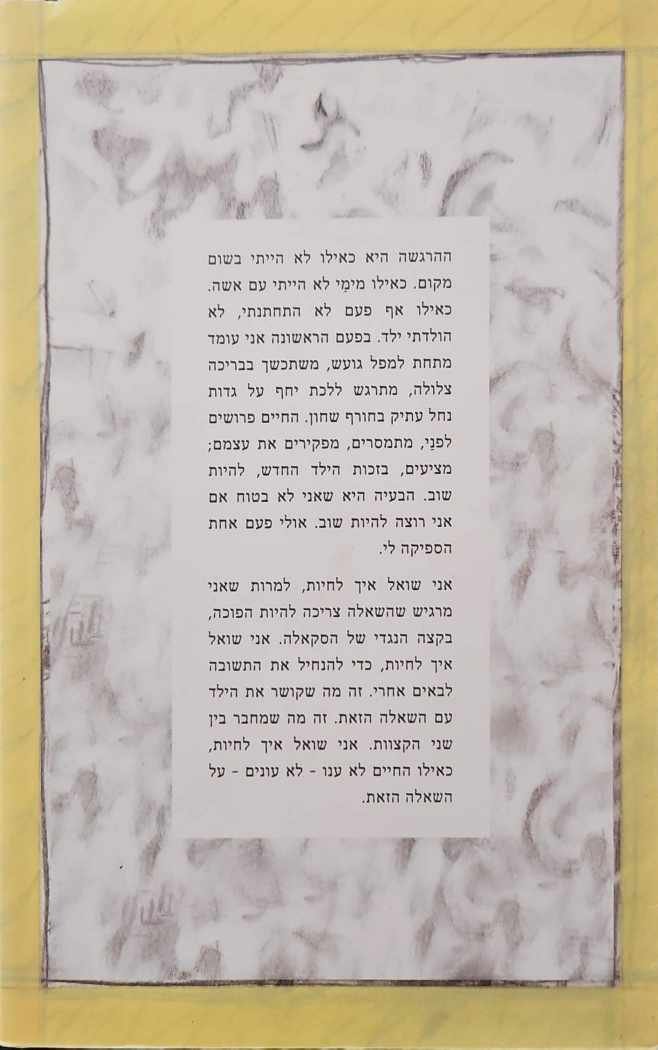 צילום של הספר איך לחיות / איל מגד