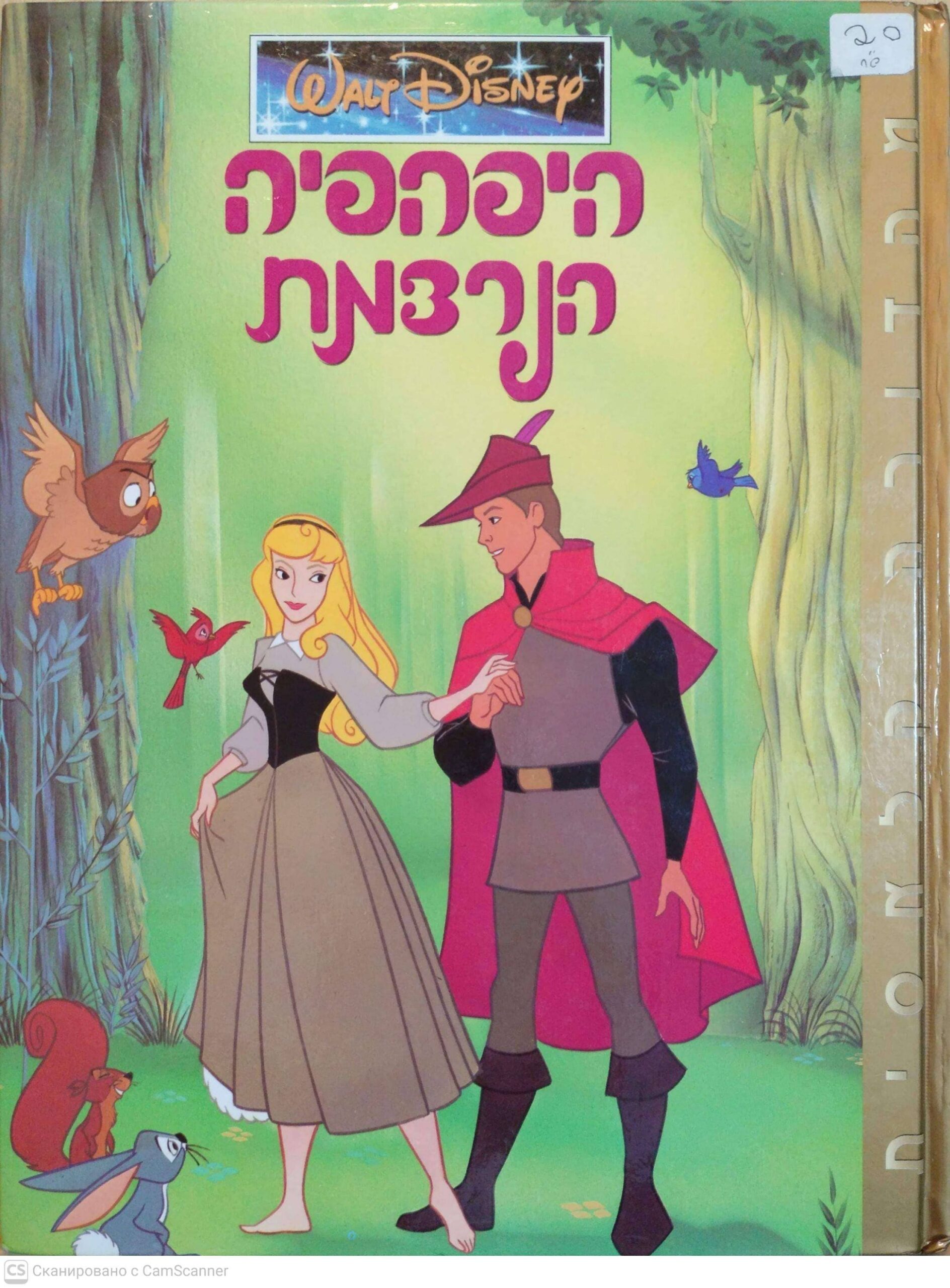 צילום של הספר היפהפיה הנרדמת / וולט דיסני