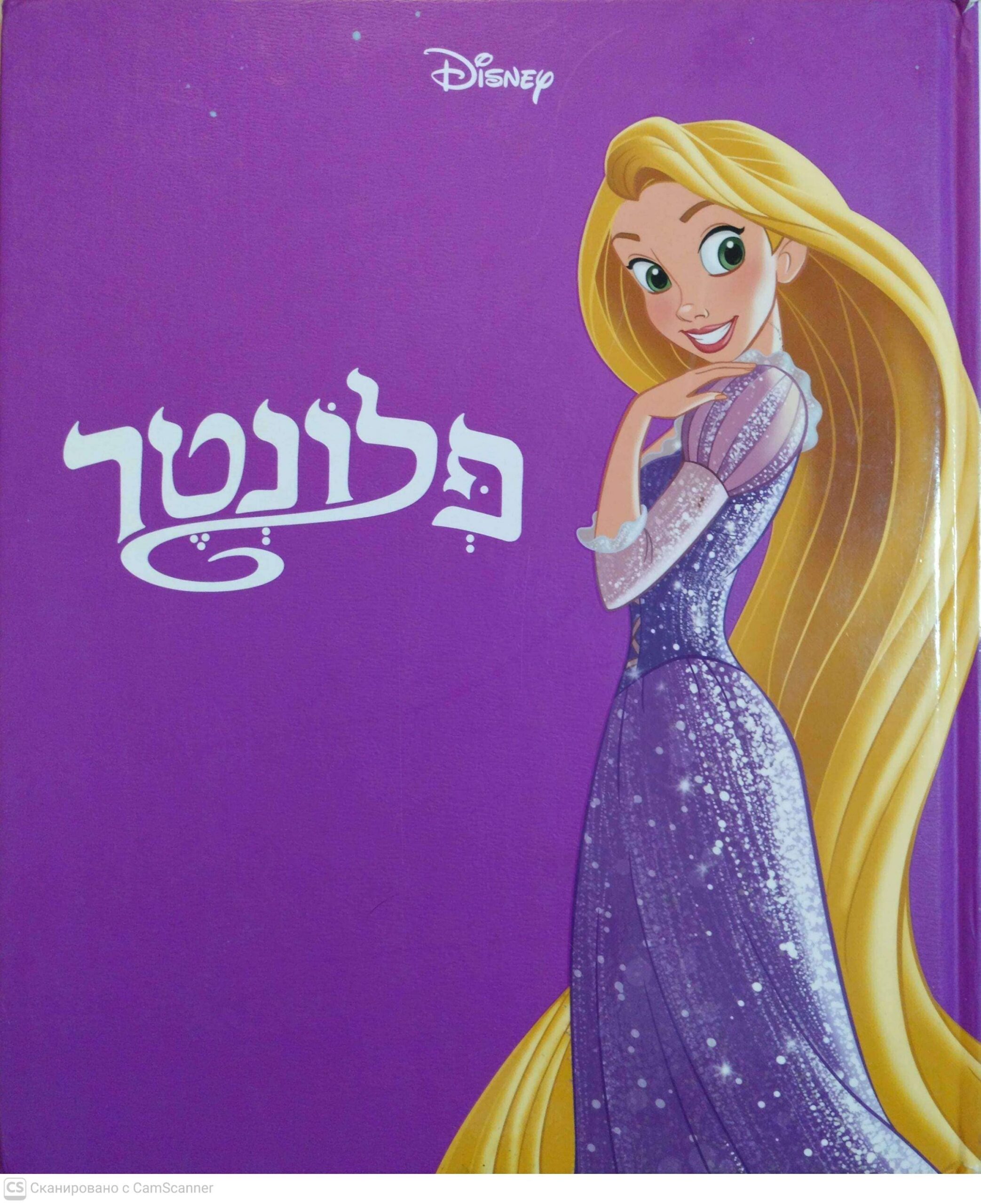 צילום של הספר פלונטר / דיסני