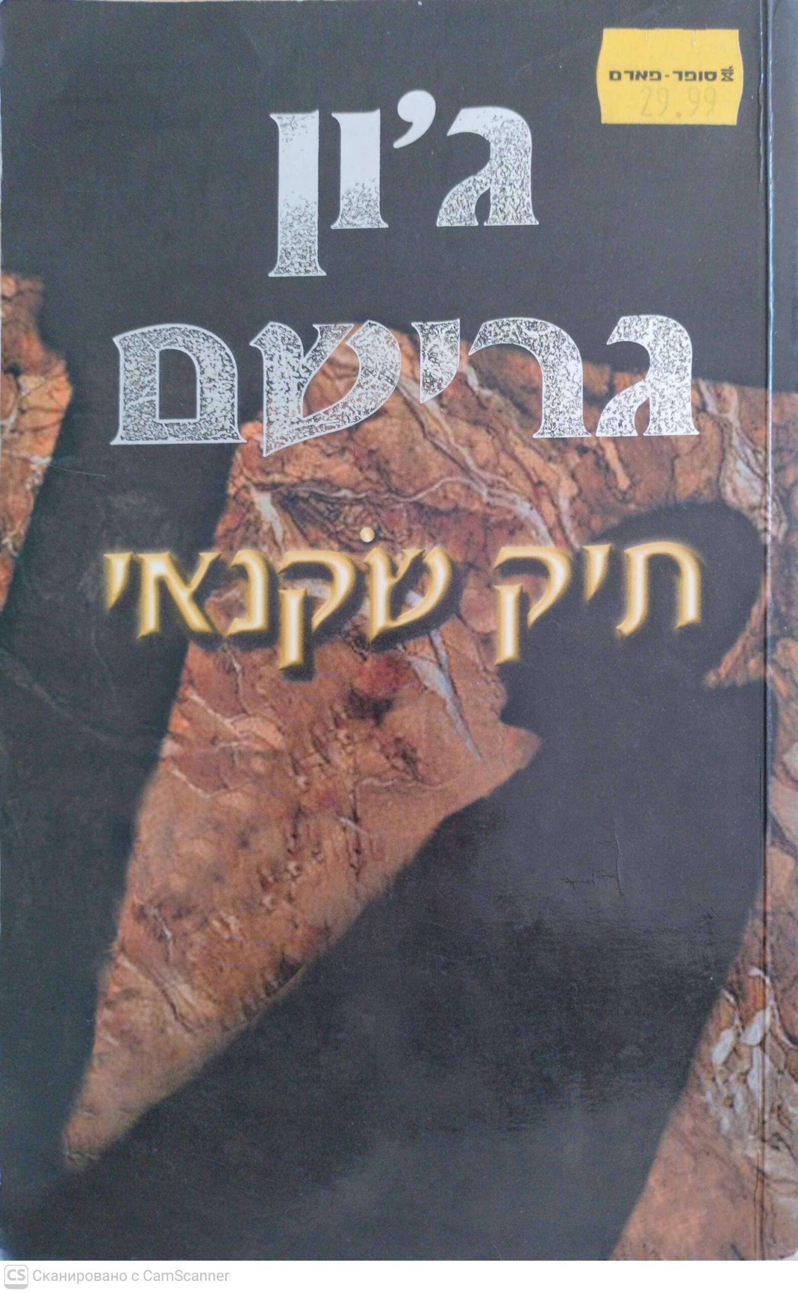 צילום של הספר תיק שקנאי / ג'ון גרישם