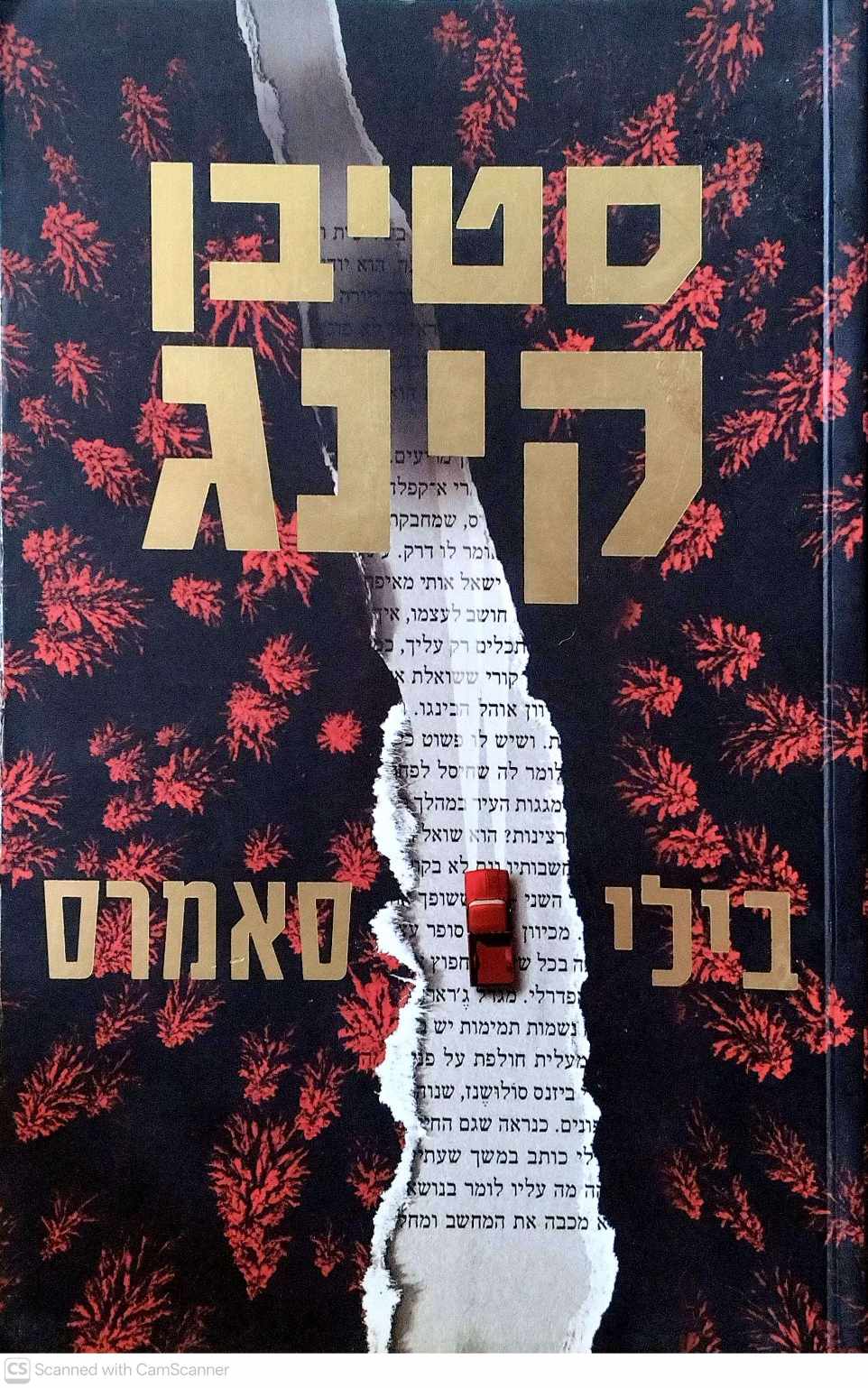 צילום של הספר בילי סאמרס / סטיבן קינג
