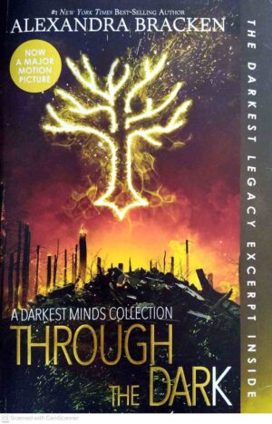 צילום של הספר Through the Dark / Alexandra Bracken