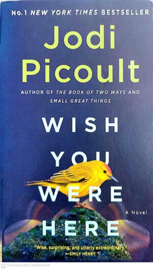 צילום של הספר Wish You Were Here / Jodi Picoult