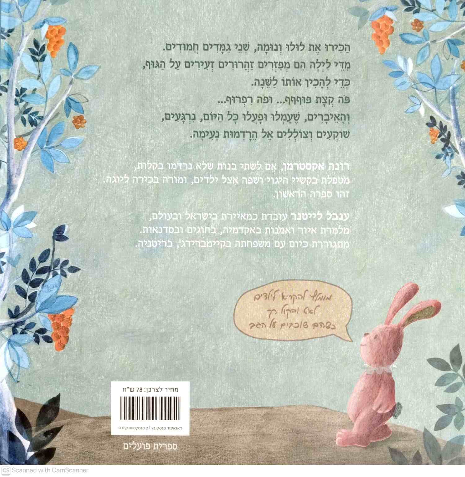 צילום של הספר לולו ונומה - גמדי לילה טוב / רונה אקסטרמן