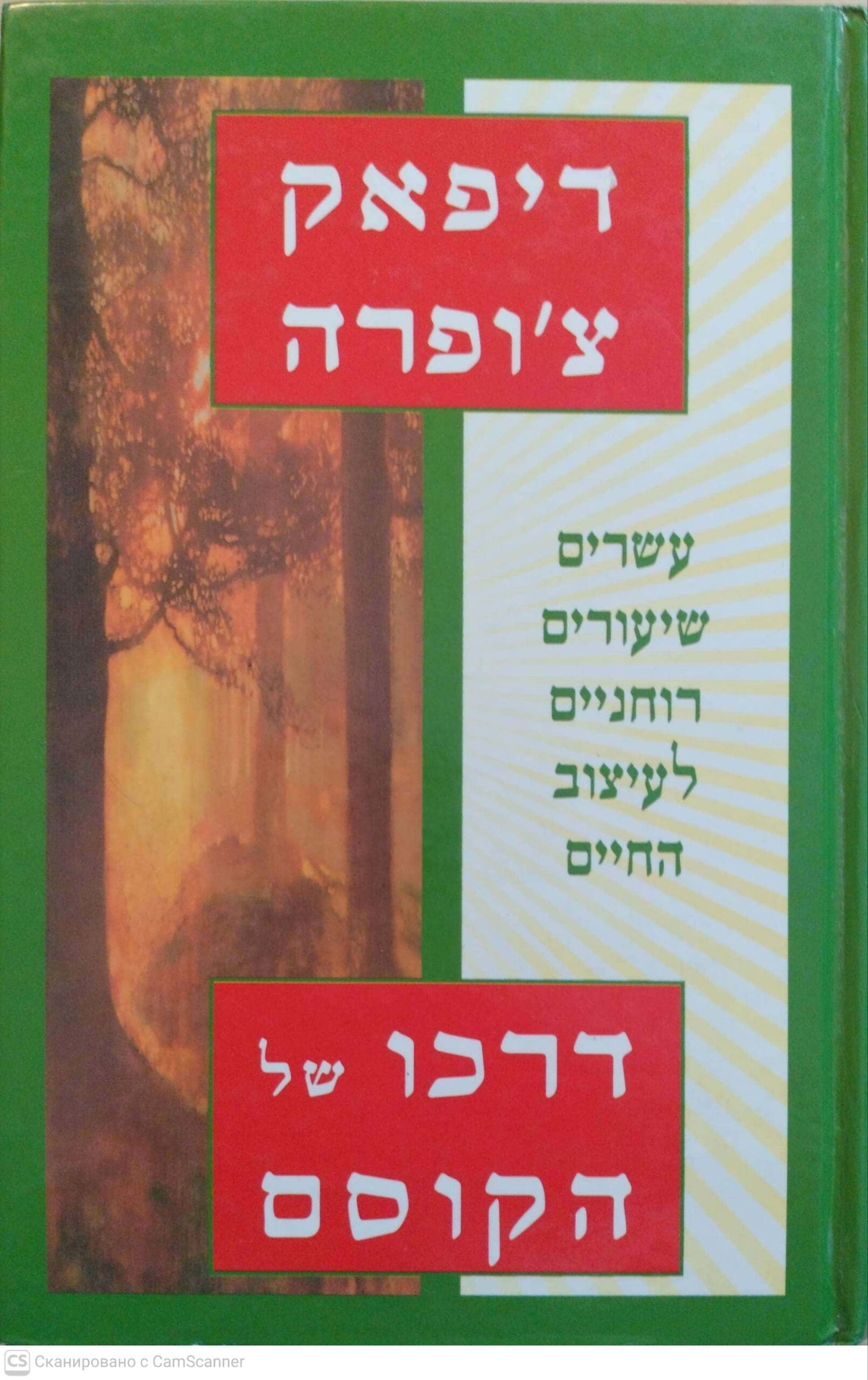 צילום של הספר דרכו של הקוסם: עשרים שיעורים רוחניים לעיצוב החיים / דיפאק צ'ופרה