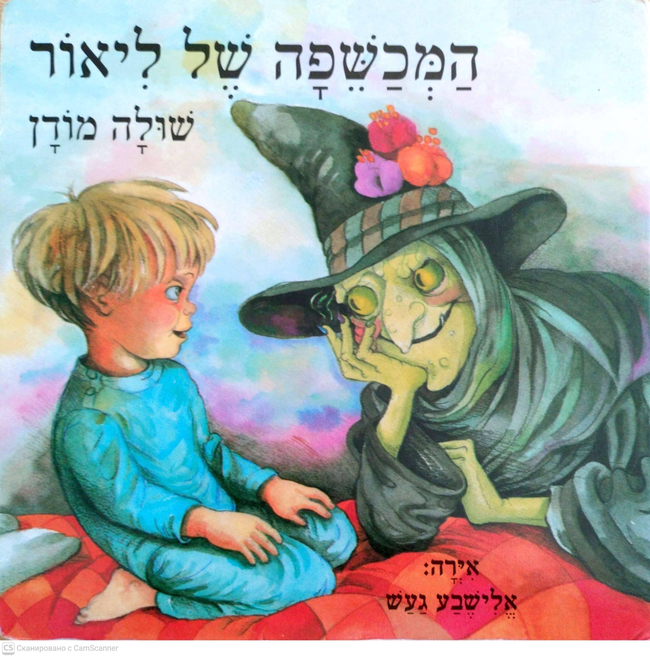 צילום של הספר המכשפה של ליאור / שולה מודן (דפי קרטון)