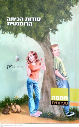 צילום של הספר סודות הכיתה הרומנטית / חיה גליק