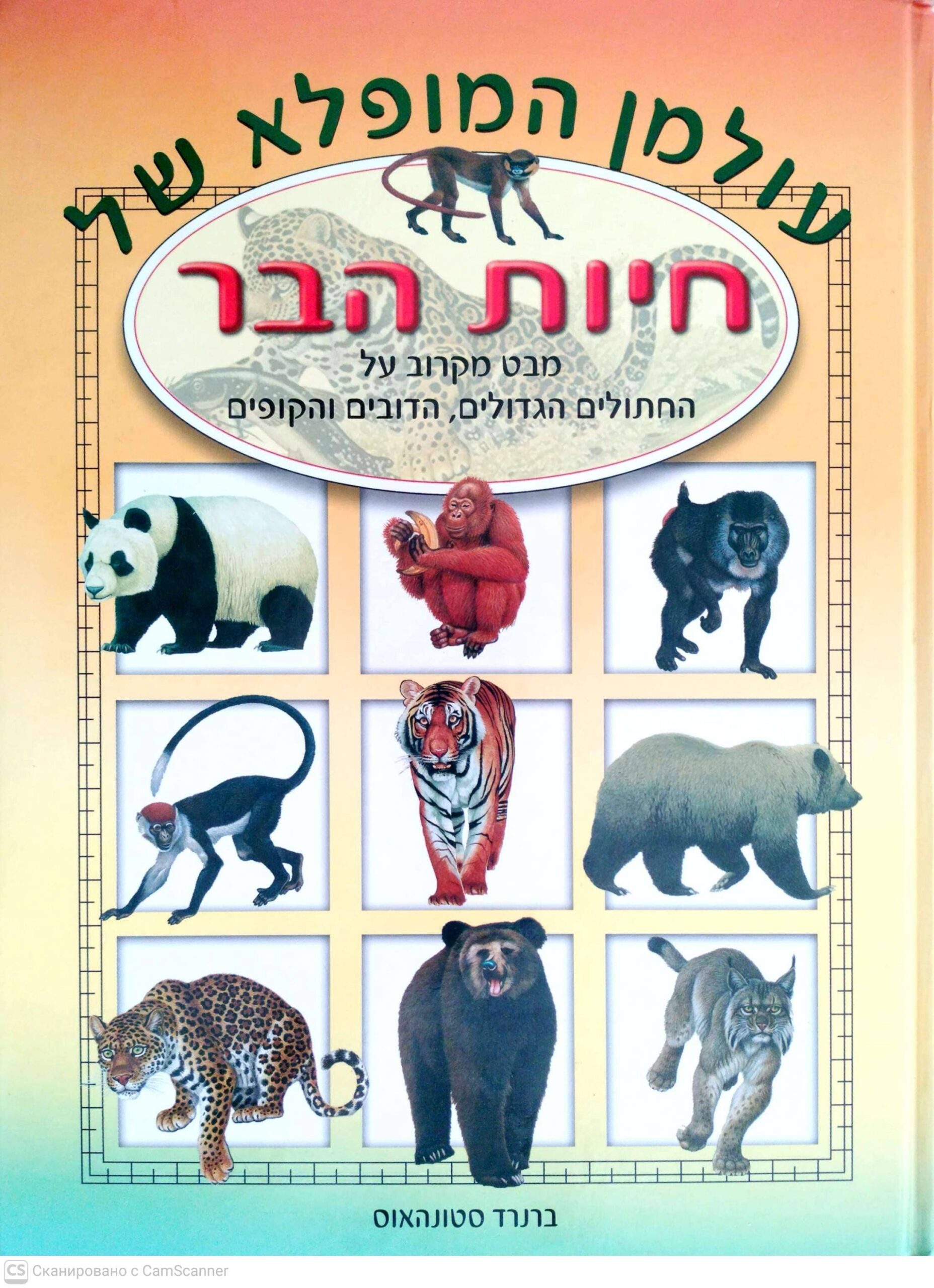 צילום של הספר עולמן המופלא של חיות הבר: מבט מקרוב על החתולים הגדולים, הדובים והקופים / ברנרד סטונהאוס