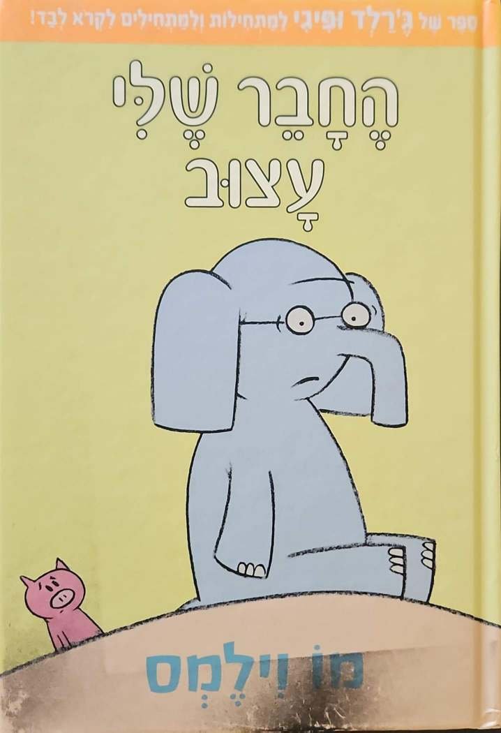 צילום של הספר החבר שלי עצוב / מו וילמס