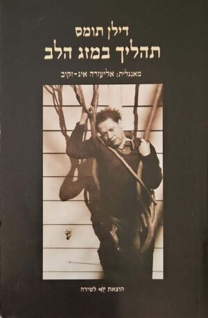 צילום של הספר תהליך במזג הלב / דילן תומס