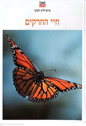 צילום של הספר חיי החרקים / טיים לייף לנוער Time Life