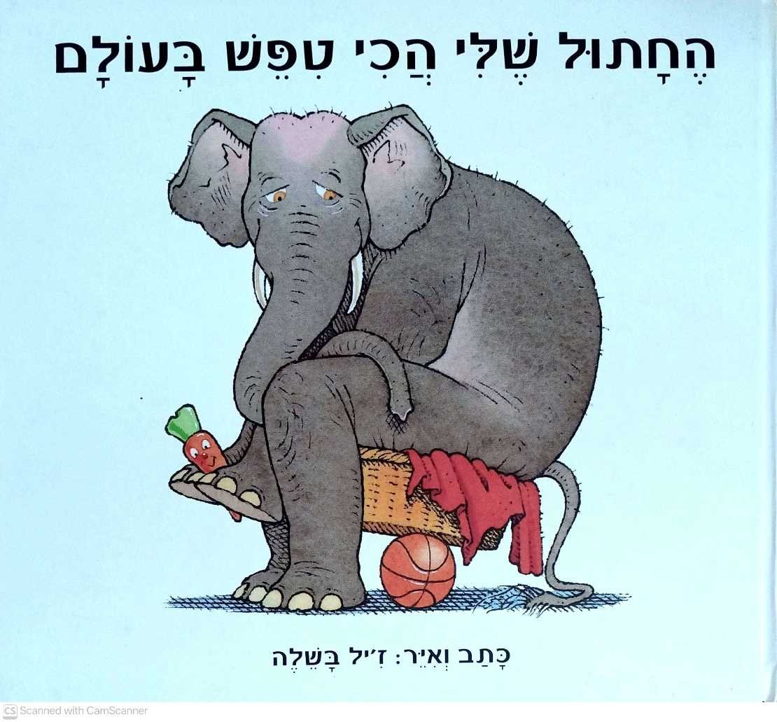 צילום של הספר החתול שלי הכי טיפש בעולם / ז'יל בשלה (כנרת זמורה-ביתן, 2008)