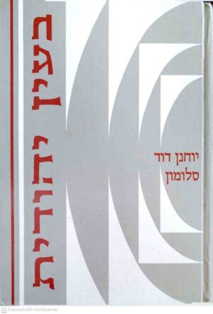 צילום של הספר בעין יהודית - כרך ב' / יוחנן דוד סלומון