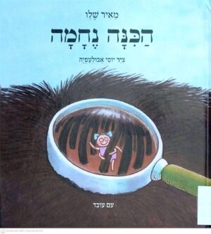 צילום של הספר הכינה נחמה / מאיר שלו (עם עובד, 1990)