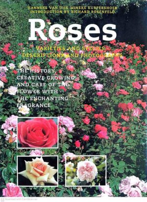 צילום של הספר Roses / Hanneke van Dijk, Mineke Kurpershoek (Rebo Productions Ltd, 1996)
