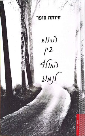 צילום של הספר הרווח בין החולף לנמוג / חיותה סופר