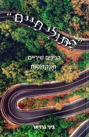 צילום של הספר פיתולי חיים: הגיגים שיריים ואנקדוטות / ביני ברויאר