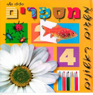 צילום של הספר מושגים ראשונים – מספרים